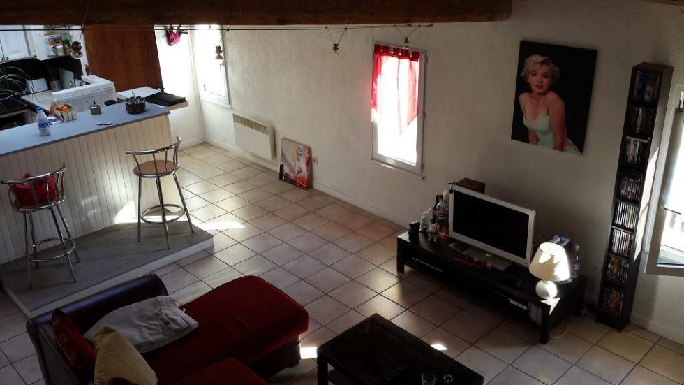 location Appartement Saint Georges D'orques - Photo 3