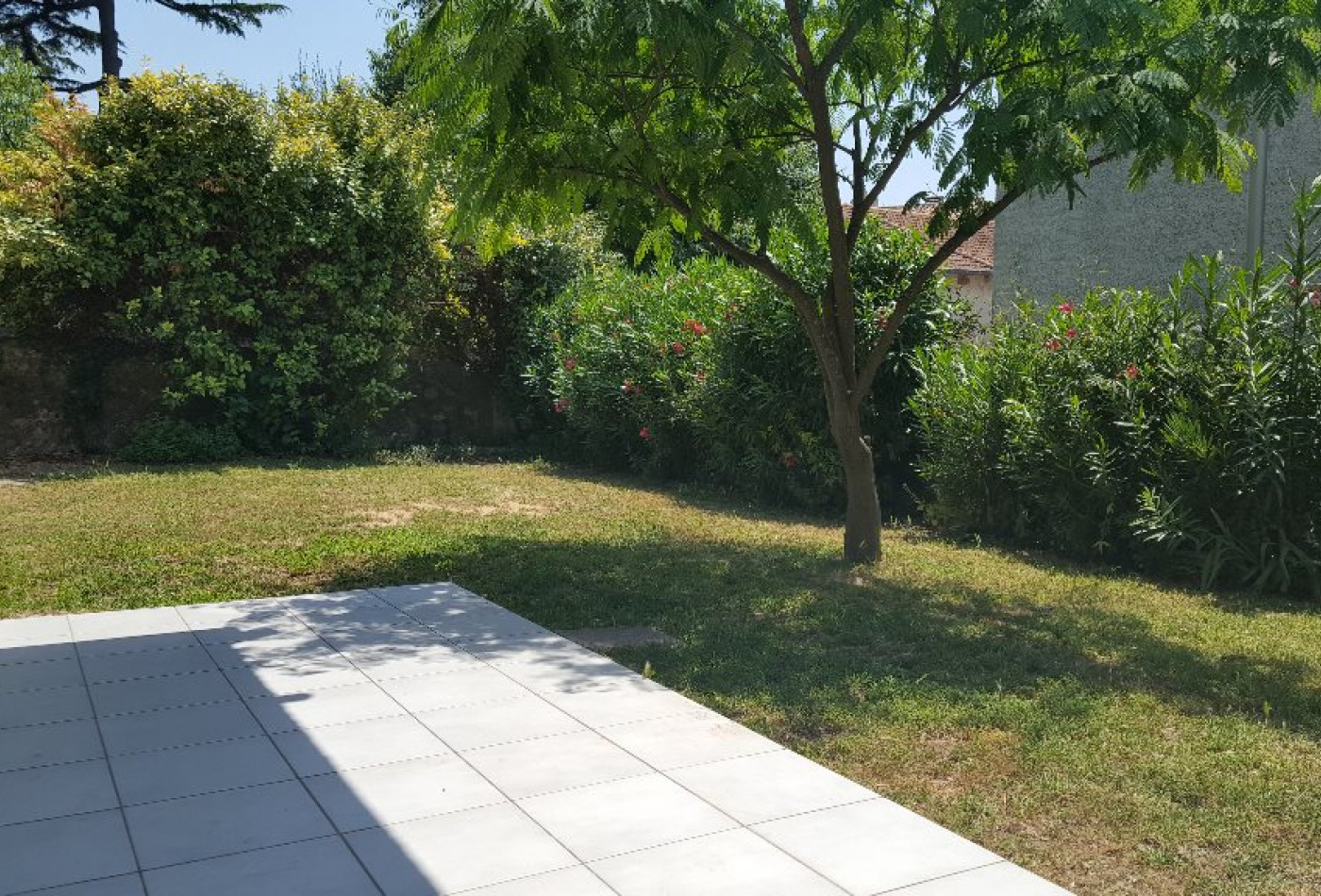 location Appartement Saint Georges D'orques - Photo 3