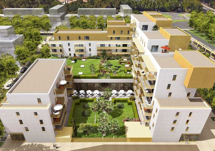 à louer Appartement Montpellier