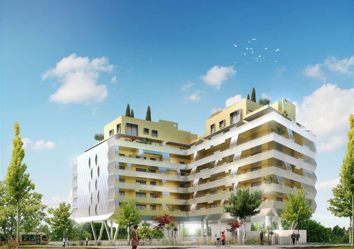 à louer Appartement Montpellier