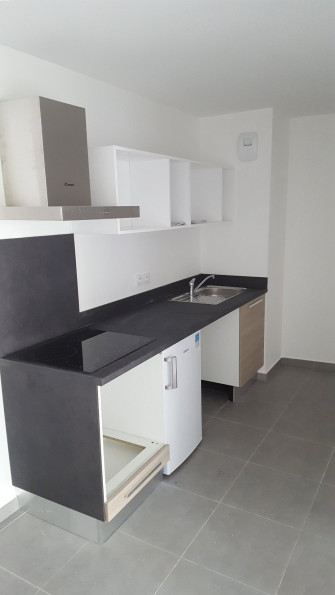 location Appartement Castelnau Le Lez - Photo 2
