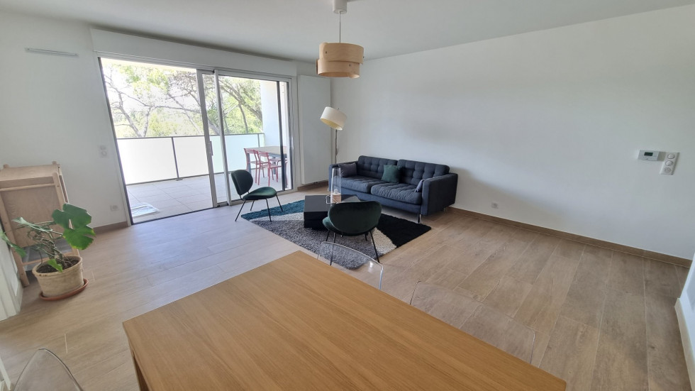 location Appartement Montpellier - Photo 1