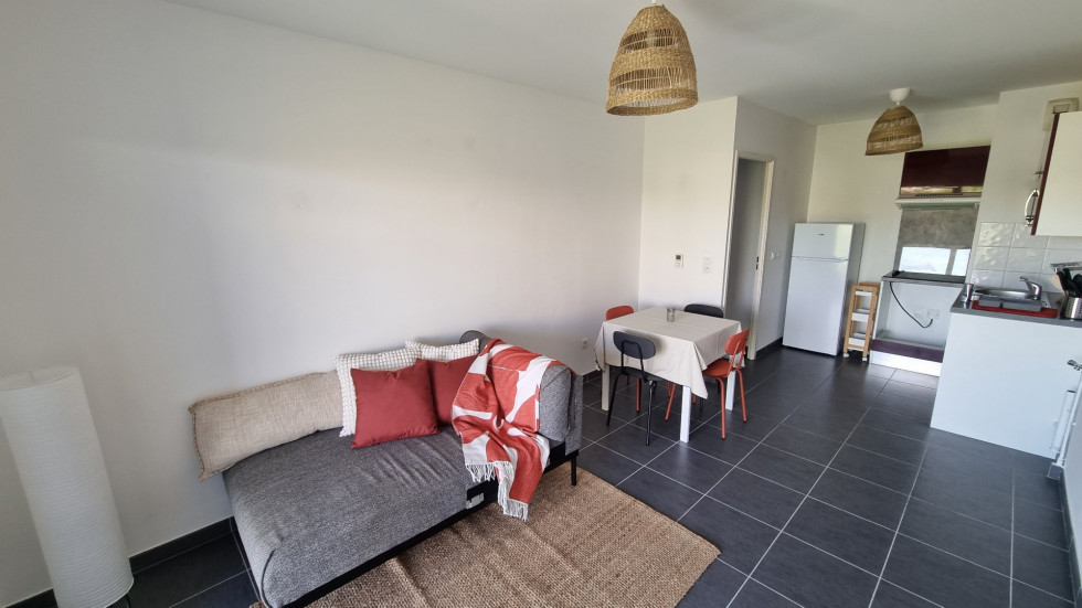 location Appartement Montpellier - Photo 1