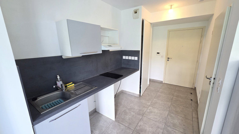 location Appartement Montpellier - Photo 2