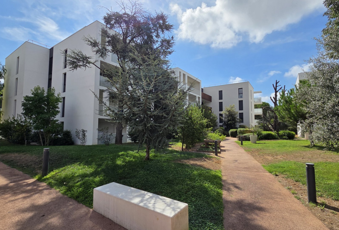 location Appartement Montpellier - Photo 1