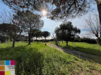 à vendre Terrain à aménager Portiragnes