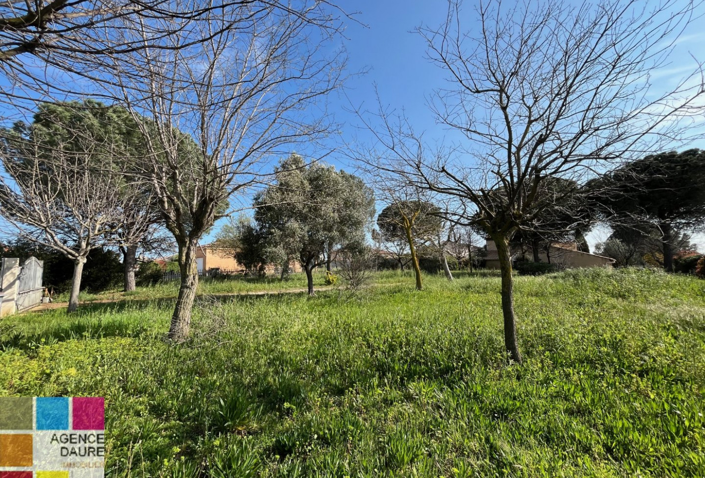 à vendre Terrain à aménager Portiragnes