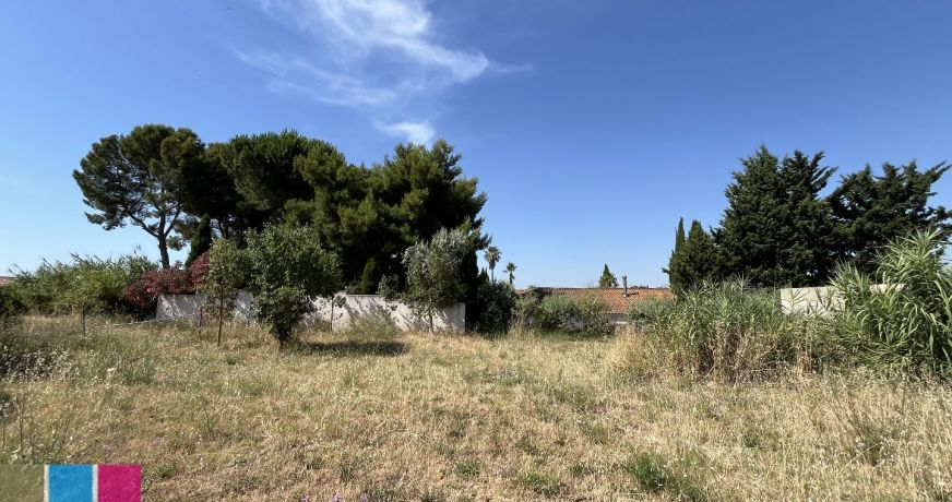 vente Terrain constructible Cers