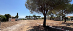 vente Terrain Portiragnes
