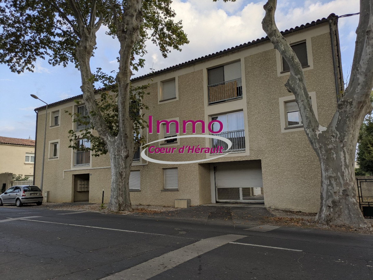 location Appartement Saint Andre De Sangonis - Photo 8