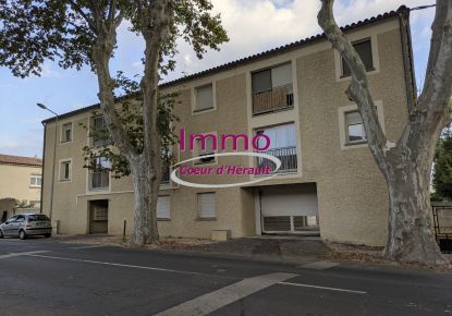 location Appartement Saint Andre De Sangonis