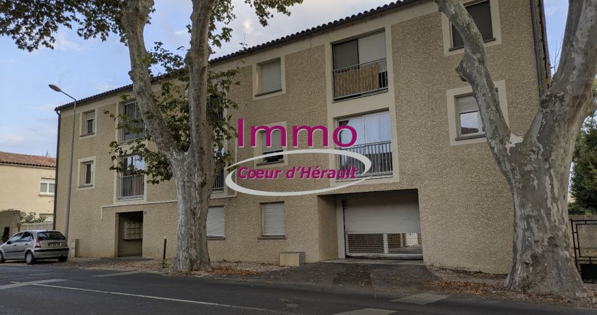 location Appartement Saint Andre De Sangonis