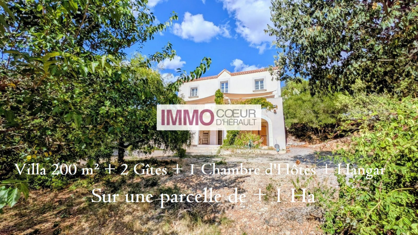 vente Villa d'architecte Puechabon - Photo 1