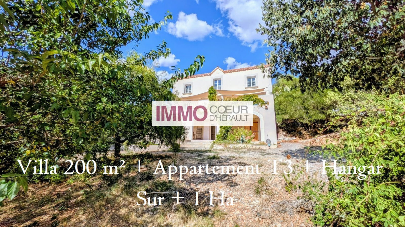 vente Villa d'architecte Puechabon - Photo 2