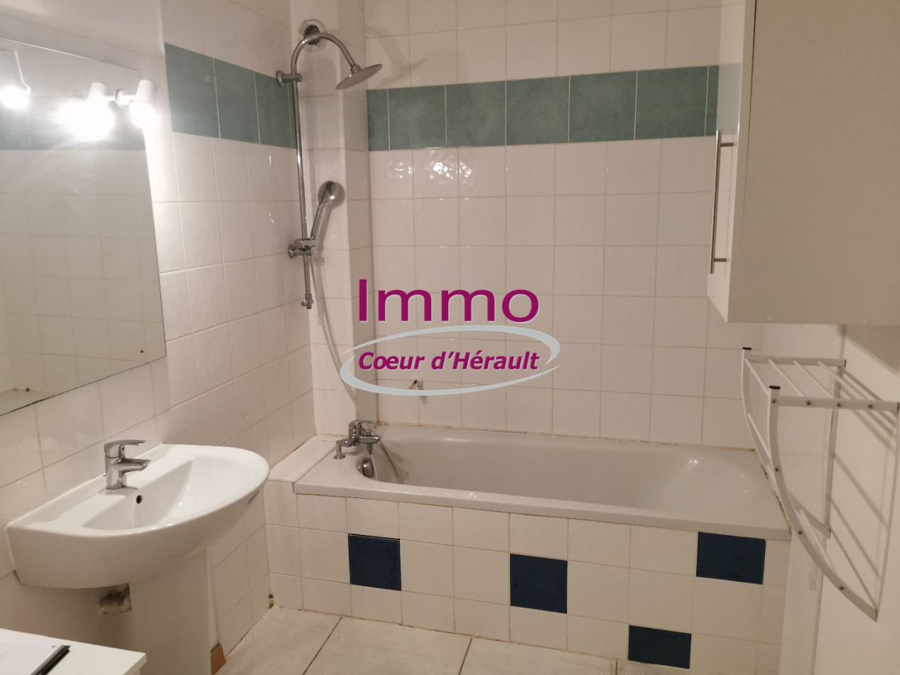location Appartement Saint Andre De Sangonis - Photo 8