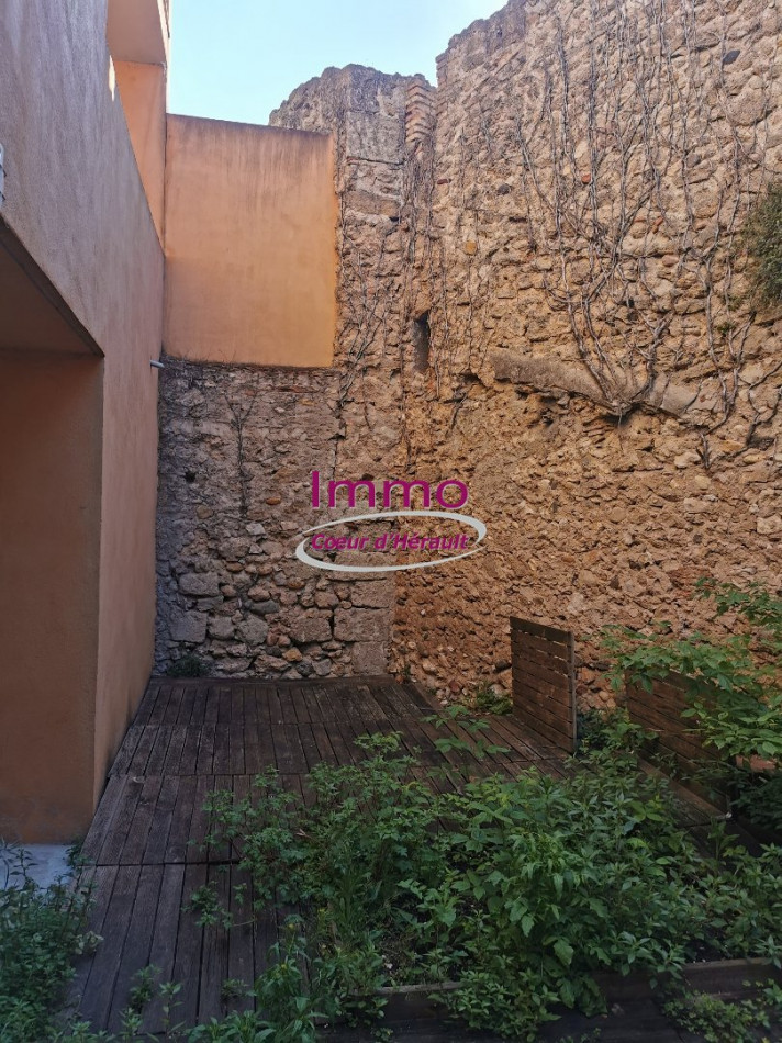 location Appartement Saint Andre De Sangonis - Photo 9