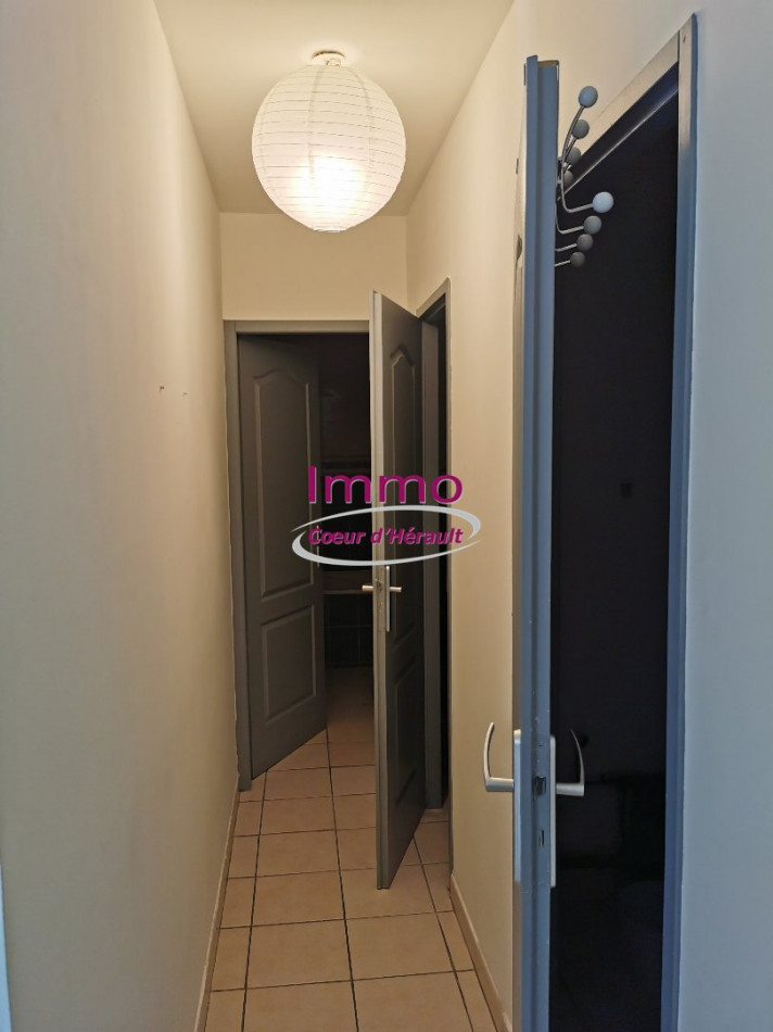 location Appartement Saint Andre De Sangonis - Photo 5