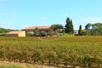 vente Propriété viticole Montarnaud