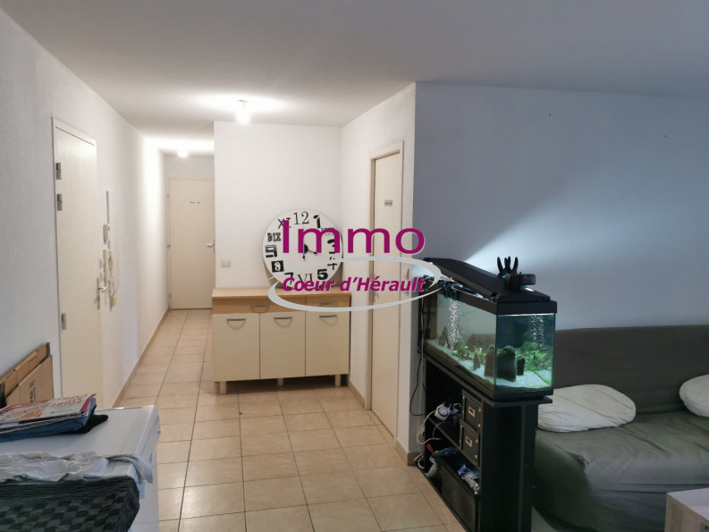 location Appartement en résidence Saint Andre De Sangonis - Photo 1