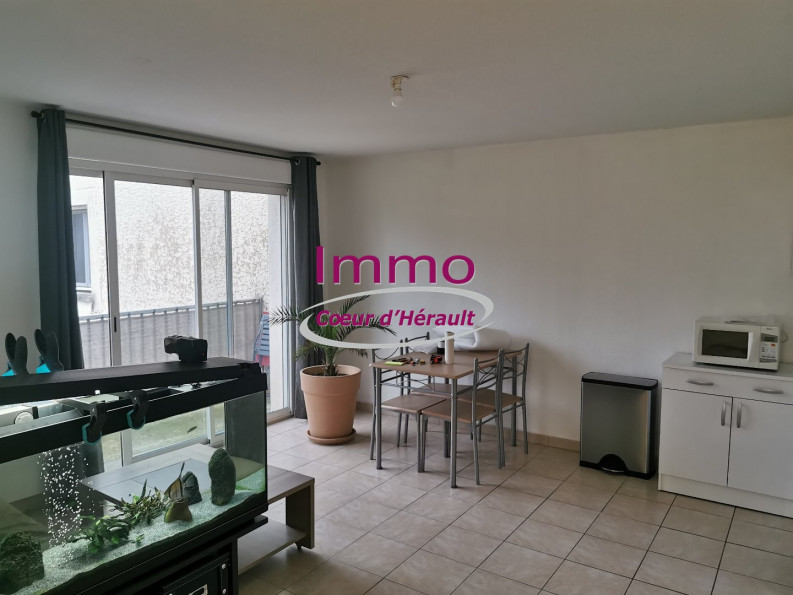 location Appartement en résidence Saint Andre De Sangonis - Photo 2