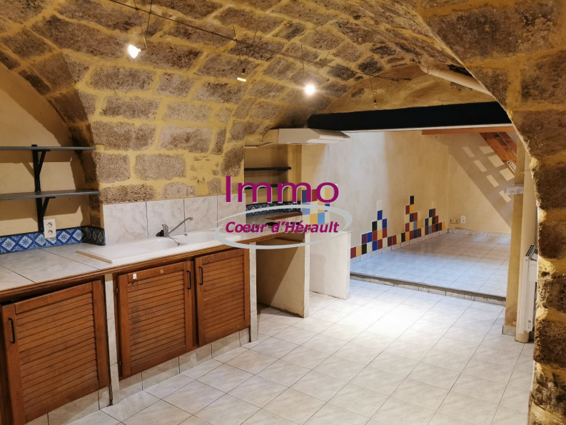 location Appartement Saint Andre De Sangonis - Photo 1