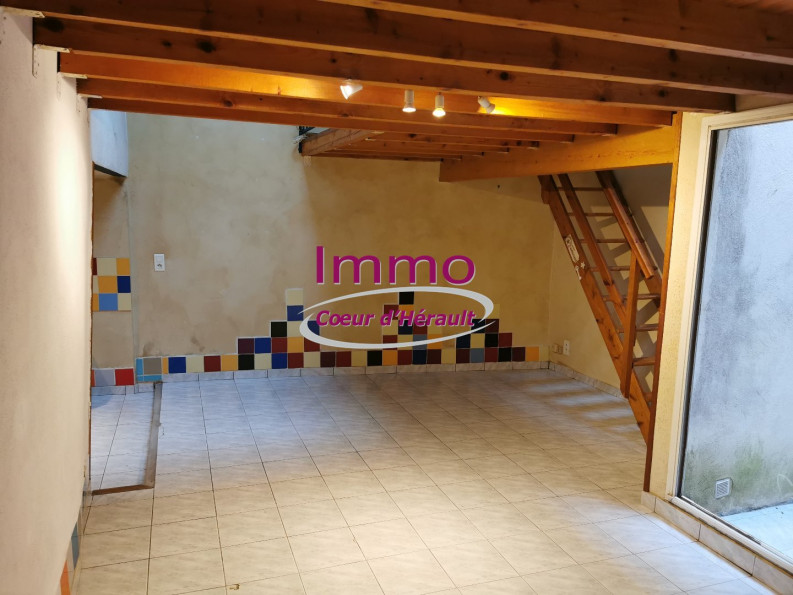 location Appartement Saint Andre De Sangonis - Photo 6