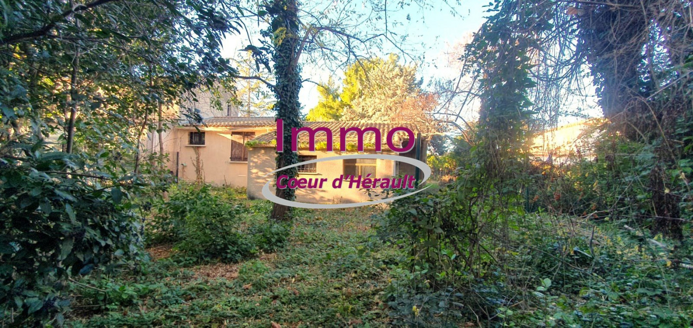 vente Maison à rénover Saint Andre De Sangonis - Photo 3