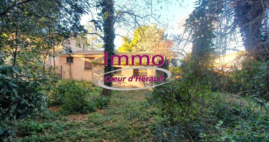 vente Maison à rénover Saint Andre De Sangonis