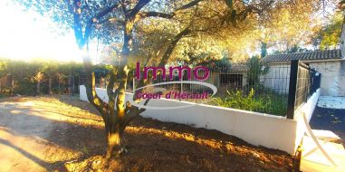 vente Saint Andre De Sangonis