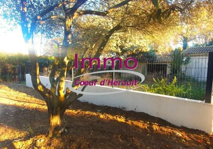 vente Maison à rénover Saint Andre De Sangonis