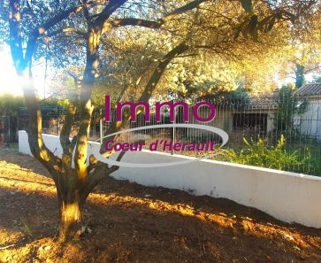 vente Saint Andre De Sangonis