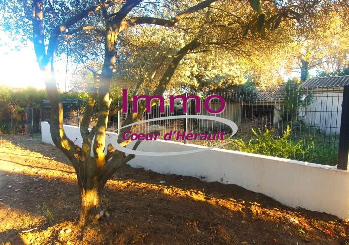 vente Maison à rénover Saint Andre De Sangonis