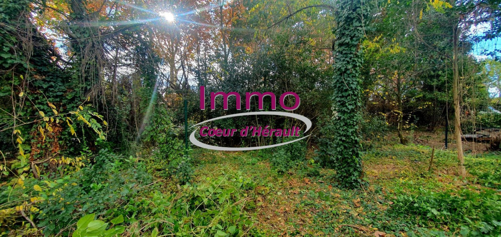 vente Maison à rénover Saint Andre De Sangonis - Photo 8