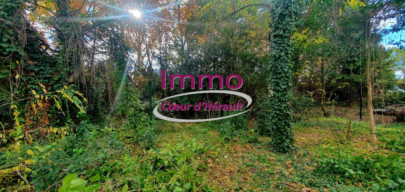 vente Maison à rénover Saint Andre De Sangonis - Photo 8