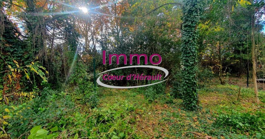 vente Maison à rénover Saint Andre De Sangonis