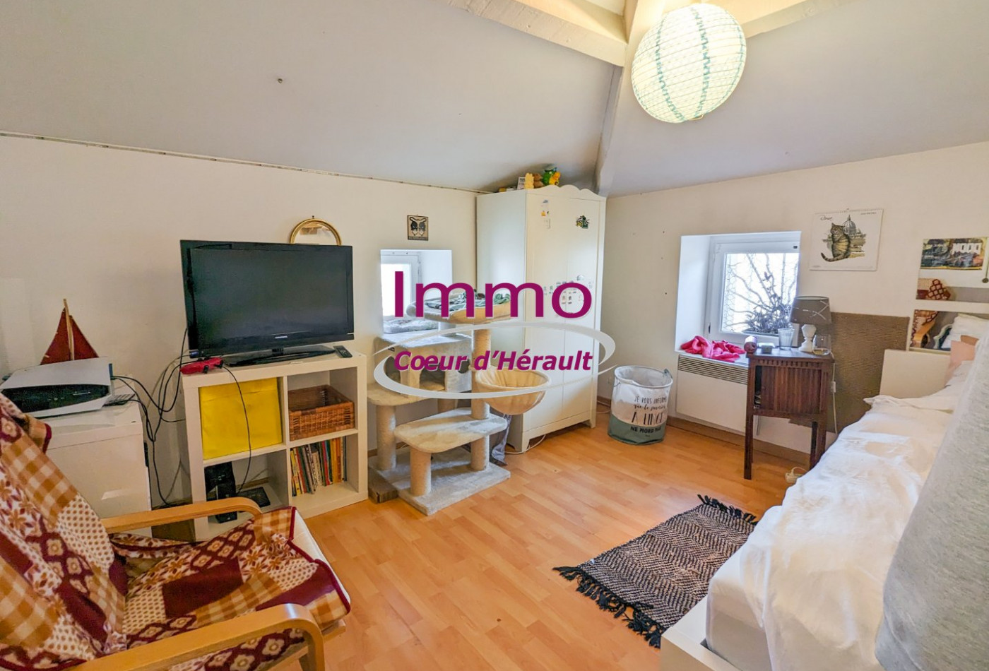 vente Immeuble mixte Clermont L'herault - Photo 3