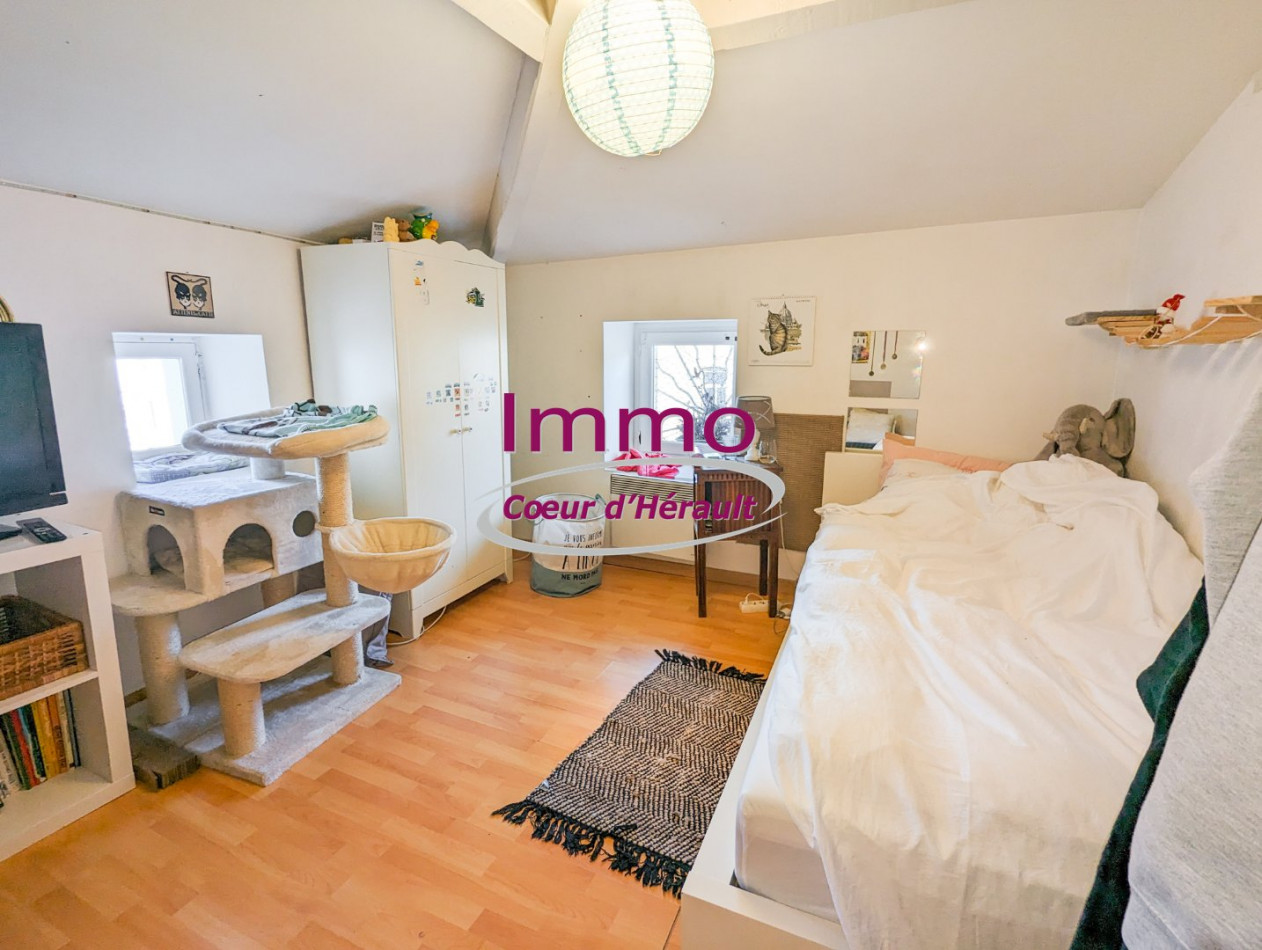 vente Immeuble mixte Clermont L'herault - Photo 1