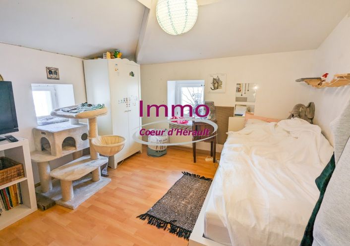 vente Immeuble mixte Clermont L'herault