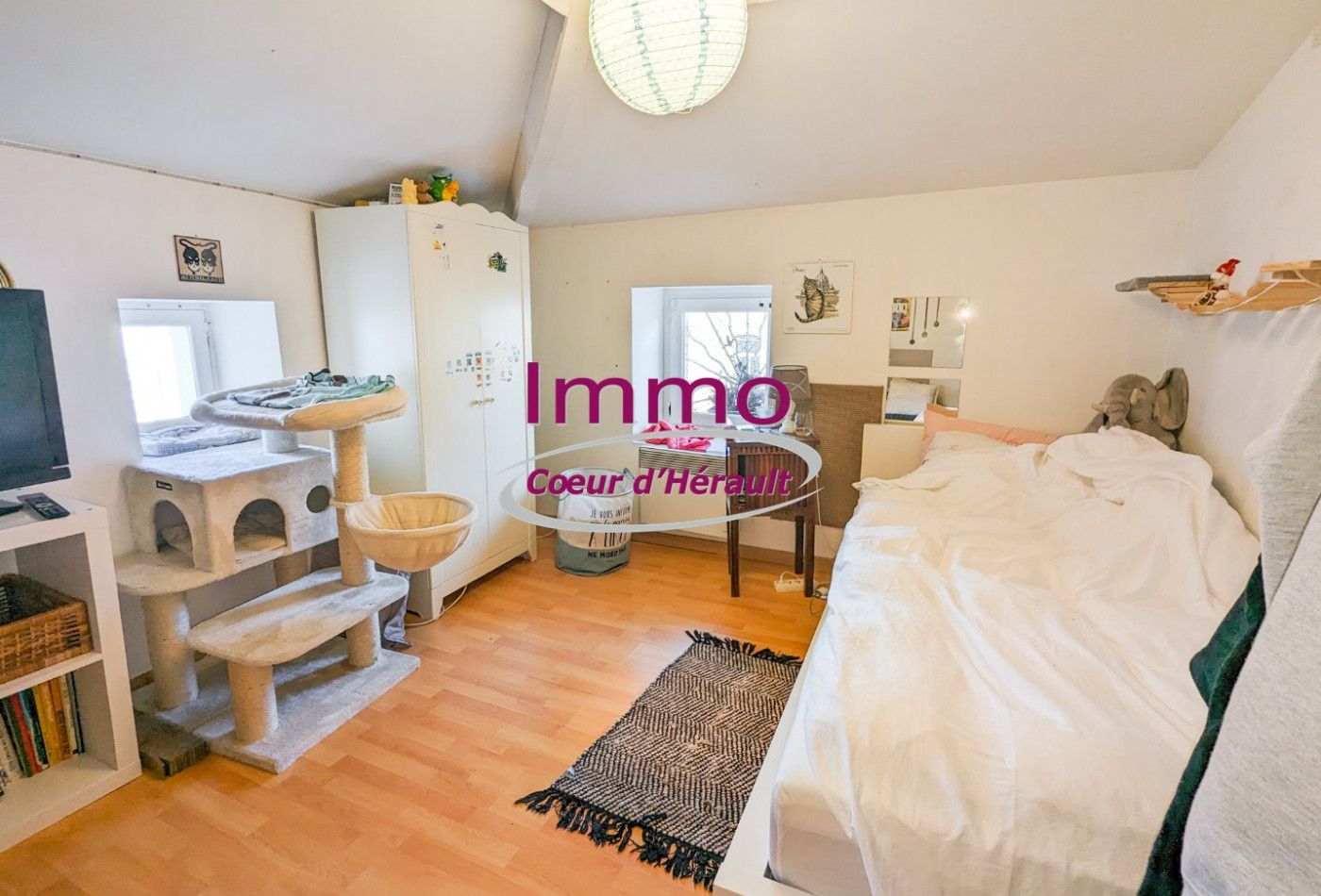 vente Immeuble mixte Clermont L'herault - Photo 1