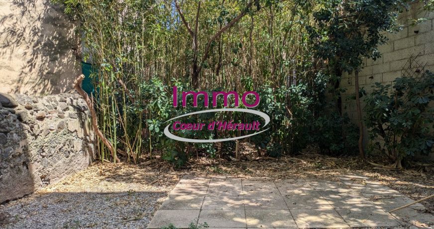 location Local commercial Clermont L'herault
