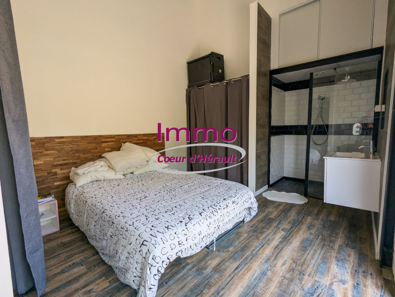 vente Maison loft Clermont L'herault - Photo 7