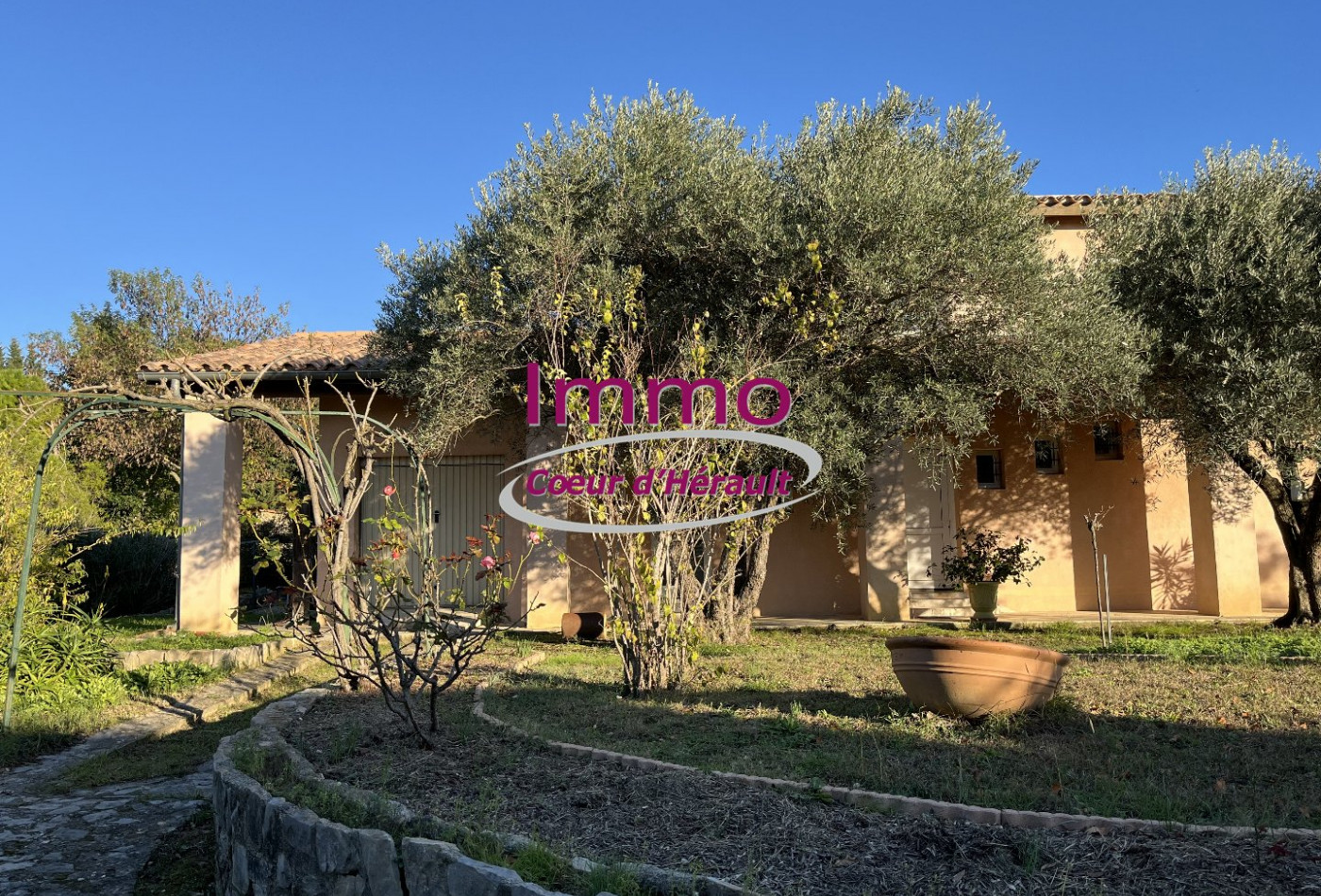 vente Villa Saint Bauzille De La Sylve - Photo 10