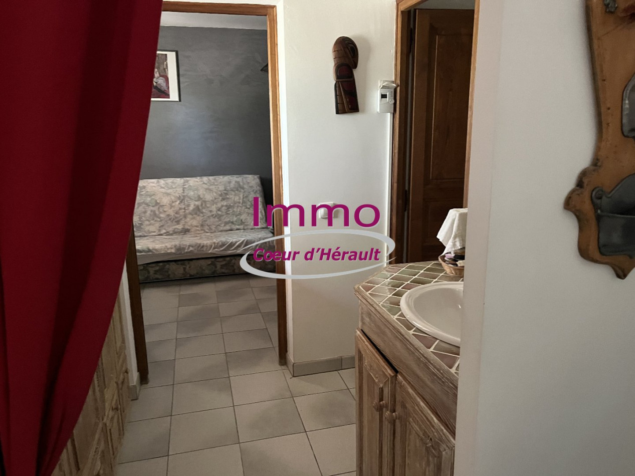 vente Villa Saint Bauzille De La Sylve - Photo 5