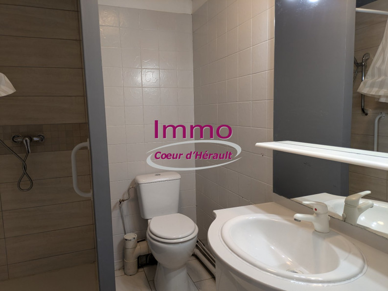 location Appartement Saint Felix De Lodez - Photo 7