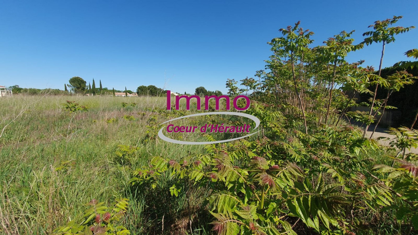 vente Terrain constructible Saint Felix De Lodez - Photo 2