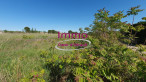 vente Terrain constructible Saint Felix De Lodez