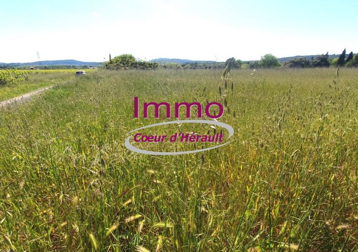 vente Terrain constructible Saint Felix De Lodez