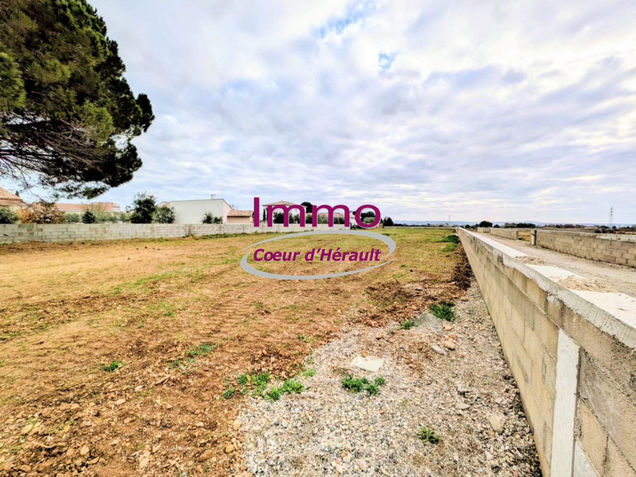 vente Terrain constructible Saint Felix De Lodez - Photo 5