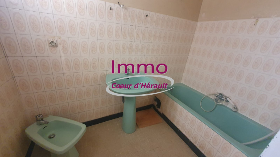 vente Maison de village Saint Andre De Sangonis - Photo 9