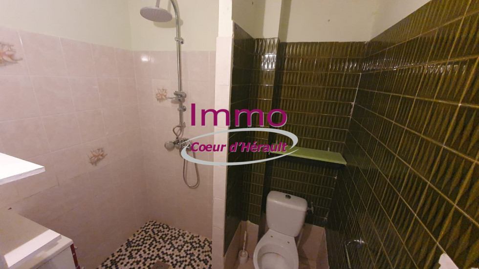 vente Maison de village Saint Andre De Sangonis - Photo 7